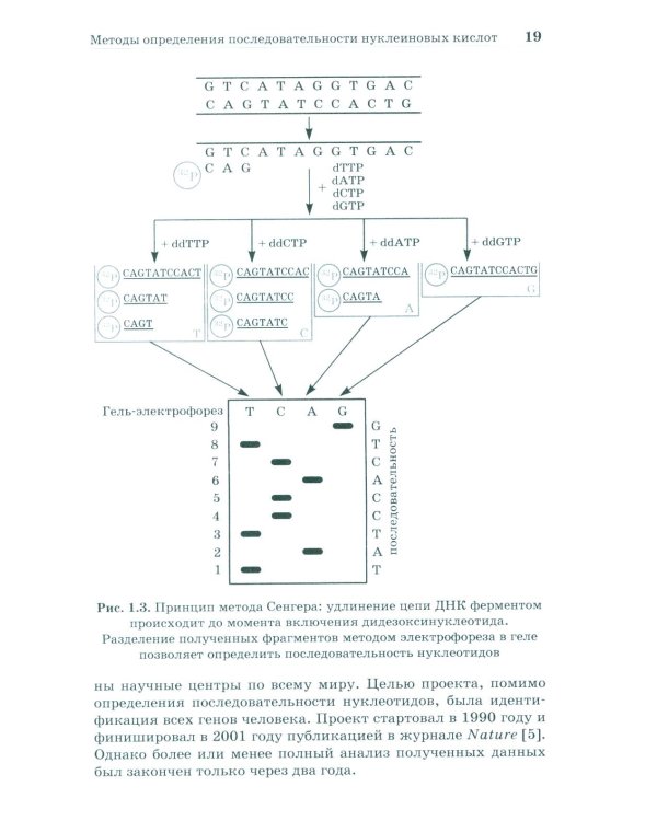 NGS: высокопроизводительное секвенирование. 7-е изд