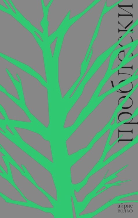 Обложка книги «Проблески» — Вольф Айрис, ISBN 9785605456162
