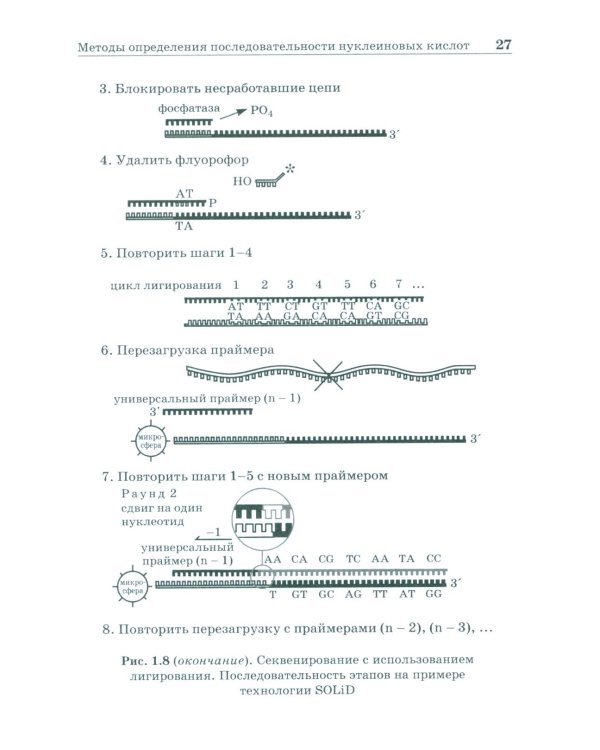 NGS: высокопроизводительное секвенирование. 7-е изд