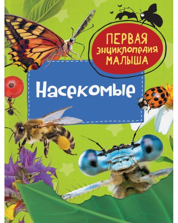 Насекомые