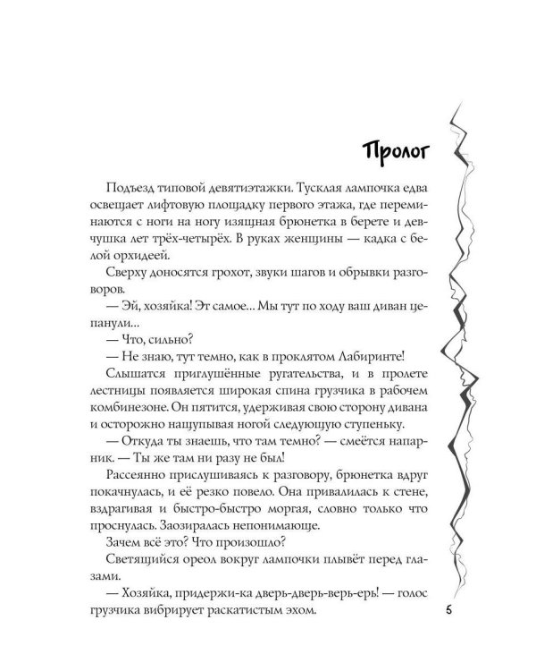 Дополнительное изображение книги «Лабиринт»