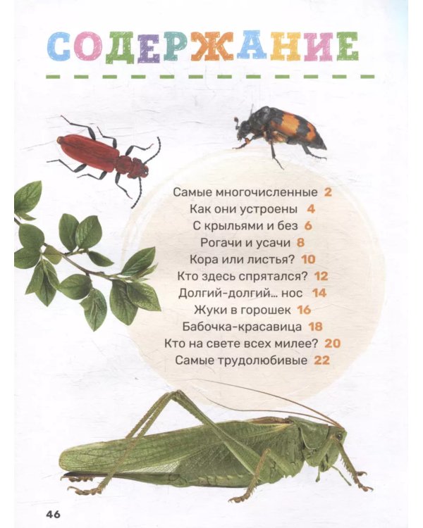 Насекомые