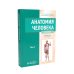 Анатомия человека: Учебник. В 2 т. (комплект из 2-х книг))