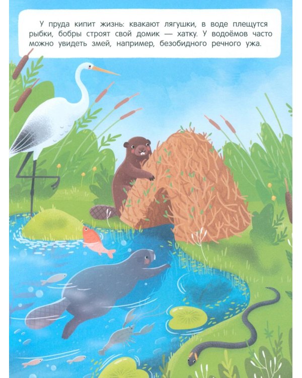 Звери и не только: книжка с наклейками