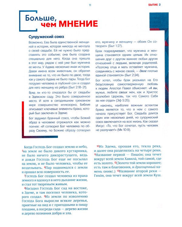 Библия для молодежи в современном русском переводе (серая)