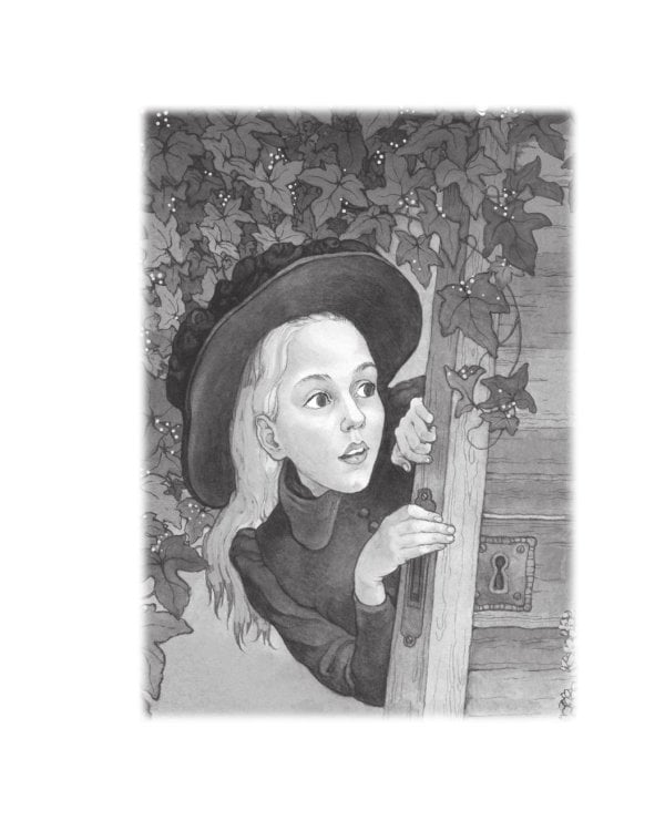 Таинственный сад