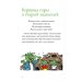 Вместе дешевле Огрики: Куда хотим, туда летим! Огрики в детском саду (комплект из 2-х книг)