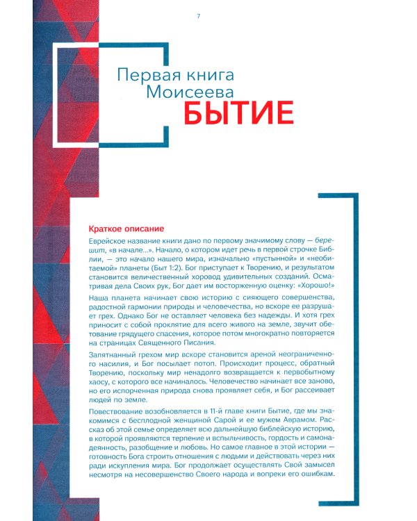 Библия для молодежи в современном русском переводе (серая)