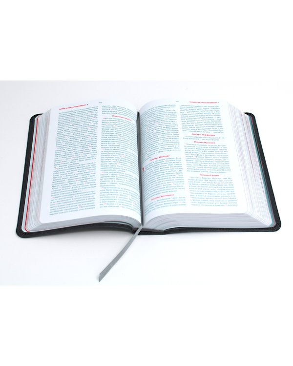 Библия для молодежи в современном русском переводе (серая)