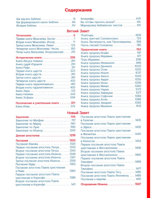 Библия для молодежи в современном русском переводе (серая)