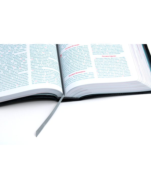 Библия для молодежи в современном русском переводе (серая)