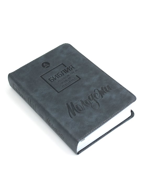 Библия для молодежи в современном русском переводе (серая)