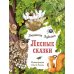 Лесные сказки