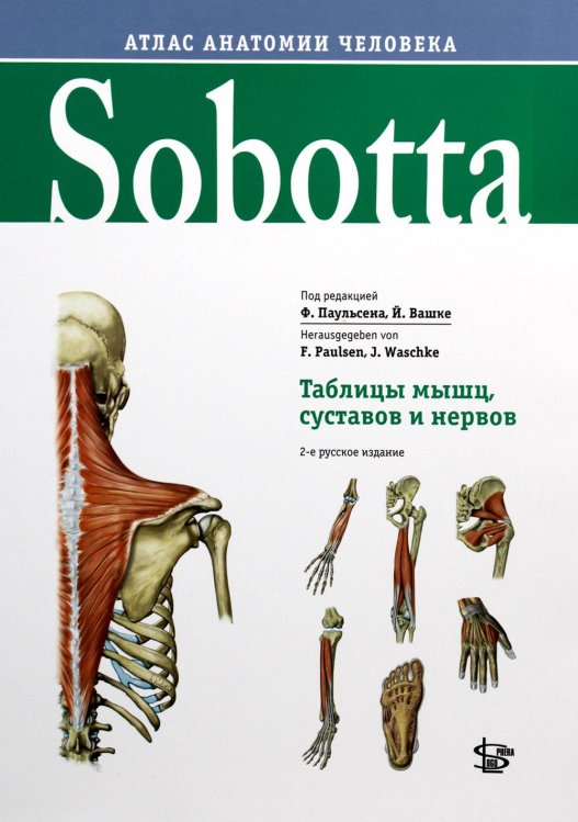 Атлас анатомии человека Sobotta. Таблицы мышц, суставов и нервов