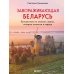 Завораживающая Беларусь. Путешествие по уголкам страны, которые остаются в сердце