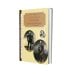 Дополнительное изображение книги «Пушкин и Романовы»