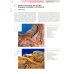 Периферическая регионарная анестезия: атлас. 2-е изд., испр