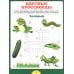 Учимся решать кроссворды. Для детей от 6 до 9 лет