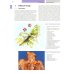 Периферическая регионарная анестезия: атлас. 2-е изд., испр