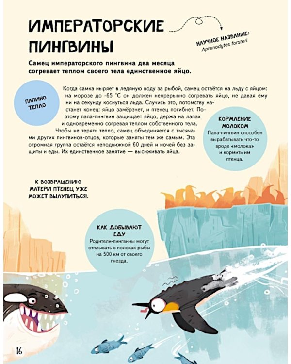 Семья в мире животных. Любовь, забота и воспитание в дикой природе