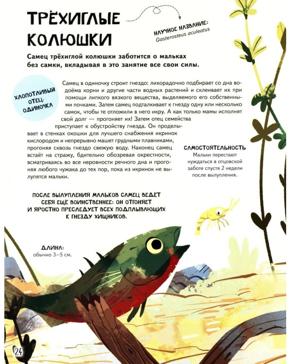 Семья в мире животных. Любовь, забота и воспитание в дикой природе