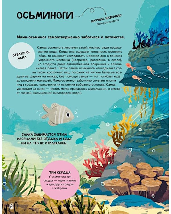 Семья в мире животных. Любовь, забота и воспитание в дикой природе