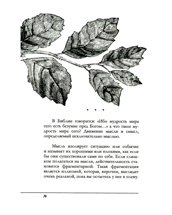 Единство со всей жизнью. Вдохновляющие фрагменты из "Новой жизни"
