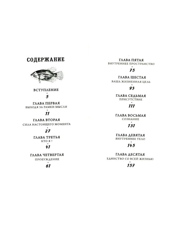 Единство со всей жизнью. Вдохновляющие фрагменты из "Новой жизни"