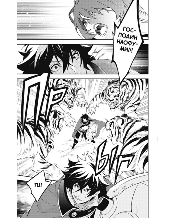 Восхождение героя щита. Т. 19: манга