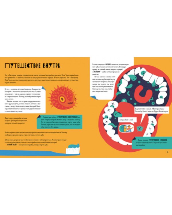 Приключения Тима в мире наук. Приключения Тима в мире бактерий