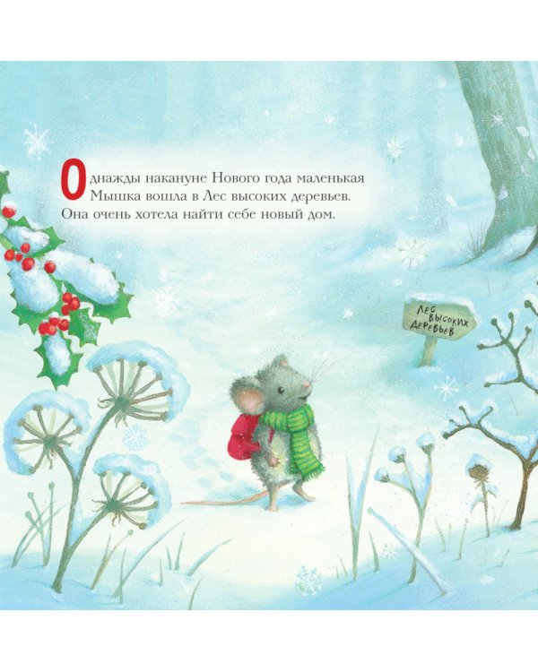 Новогодний домик для Мышки