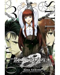 Врата Штейна 0, т. 3