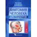 Анатомия человека для педиатров: Учебник. В 2 т. Т. 1 Анатомия человека для педиатров: Учебник. В 2 т. Т. 1