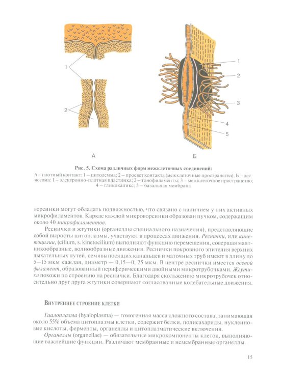 Анатомия человека для педиатров: Учебник. В 2 т. Т. 1