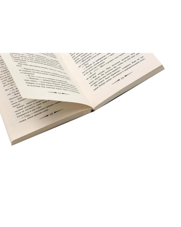 Дополнительное изображение книги «Де Камп. Ч. 2 (комплект из 2-х книг)»