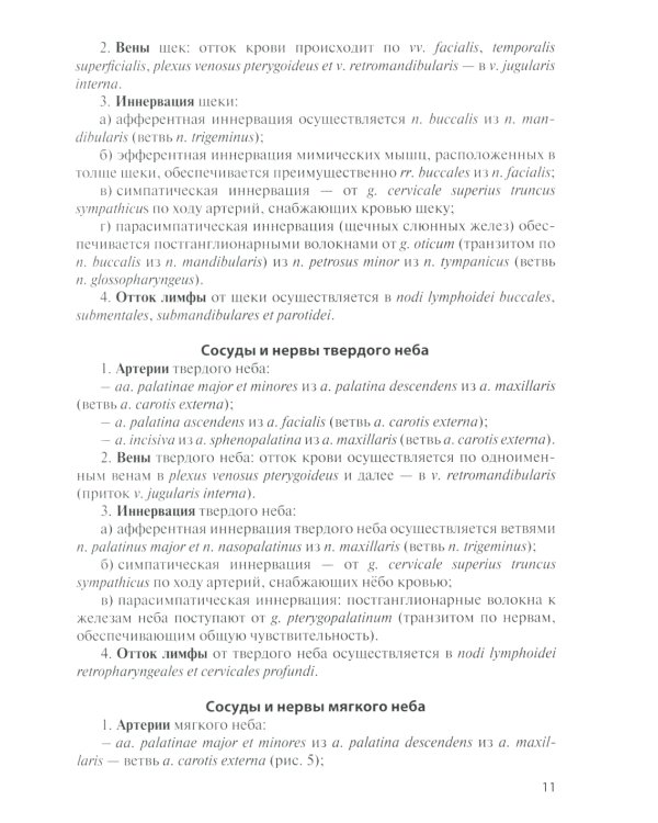 Сосуды и нервы внутренних органов