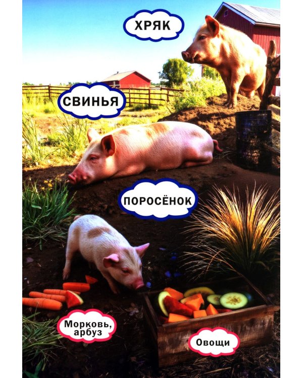 Животные и их детеныши. Книга для малышей