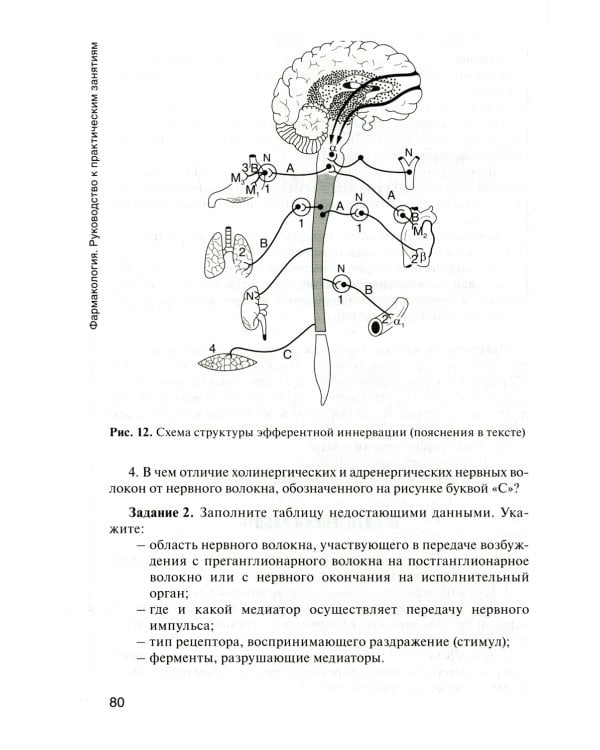 Фармакология: руководство к практическим занятиям: Учебное пособие. 3-е изд., перераб. и доп