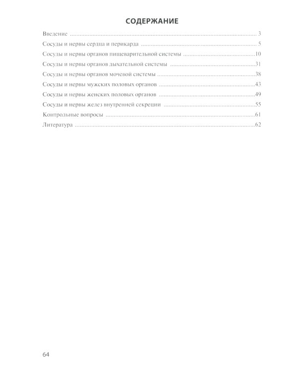 Сосуды и нервы внутренних органов