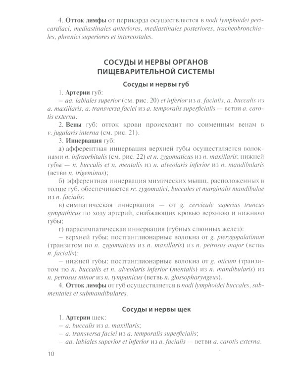 Сосуды и нервы внутренних органов