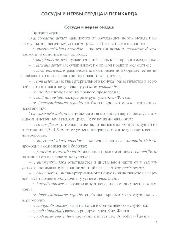 Сосуды и нервы внутренних органов