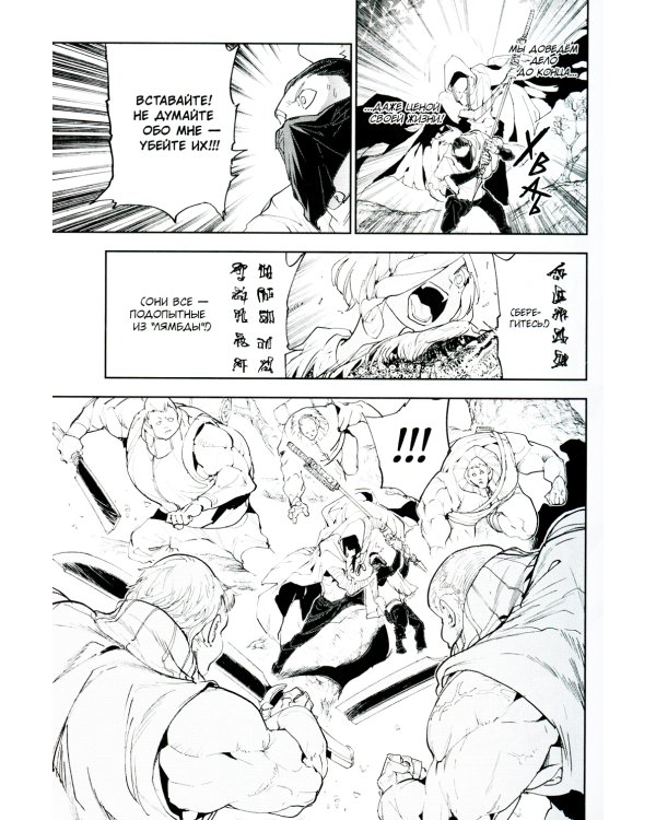 Обещанная страна грез. Кн. 9. (Включает в себя оригинальные тома 17 и 18)