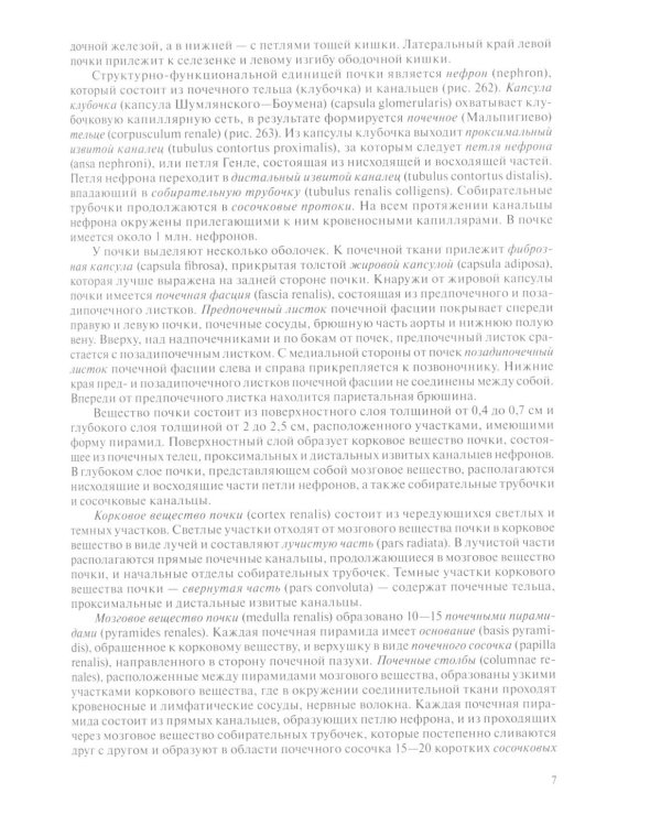 Анатомия человека для педиатров: Учебник. В 2 т. Т. 2