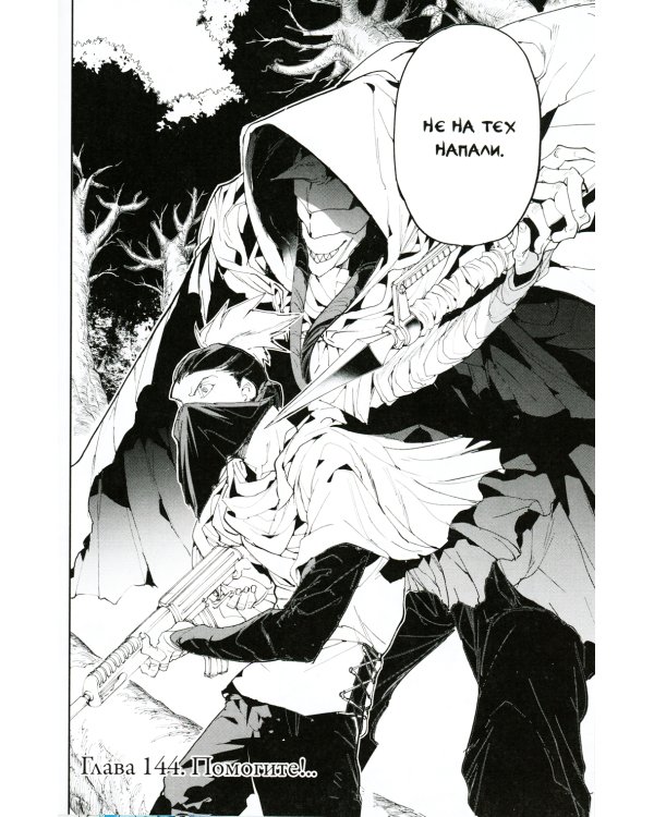 Обещанная страна грез. Кн. 9. (Включает в себя оригинальные тома 17 и 18)