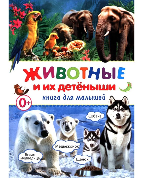 Животные и их детеныши. Книга для малышей