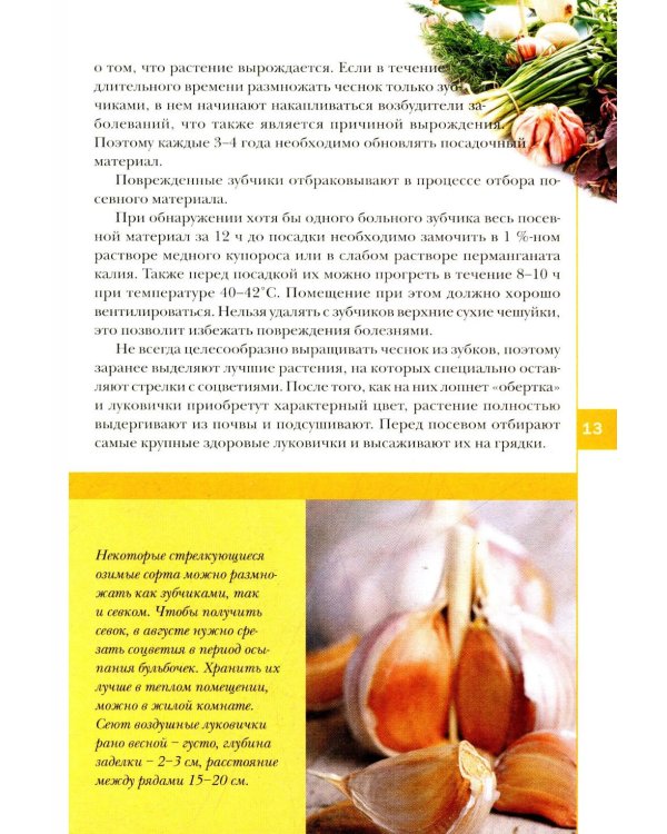 Лук, чеснок, зелень. Посадка. Уход. Защита. Уборка. Хранение
