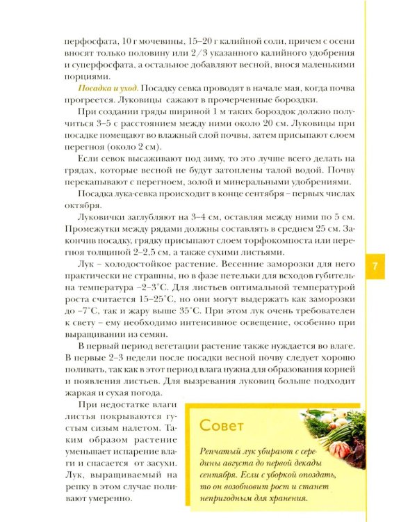 Лук, чеснок, зелень. Посадка. Уход. Защита. Уборка. Хранение