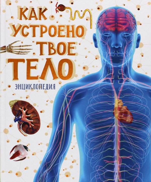 Как устроено твое тело. Энциклопедия