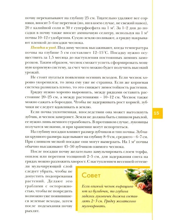 Лук, чеснок, зелень. Посадка. Уход. Защита. Уборка. Хранение