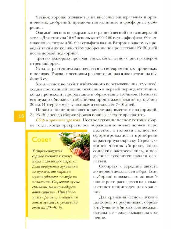 Лук, чеснок, зелень. Посадка. Уход. Защита. Уборка. Хранение